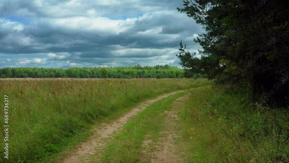 Dirt road on field. Path Through Ages, Vehicle Rut, Pine Tree Spectrum, Forest Depth. Aerial Drone Shot. Dirt road on field. Path Through Ages, Vehicle Rut, Pine Tree Spectrum, Forest Depth. Aerial Drone Shot.