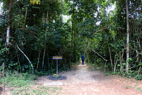  Forest in Park of  Phu Wiang National Park, Khon Kaen , Thailand photo