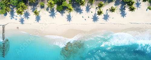 birds eye view of beach with palm trees, rocks and sea