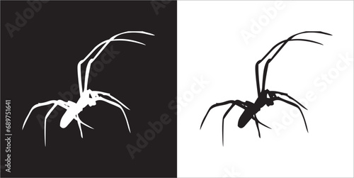 Illustration vector graphics of spider icon © Susiati