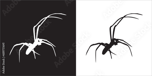 Illustration vector graphics of spider icon