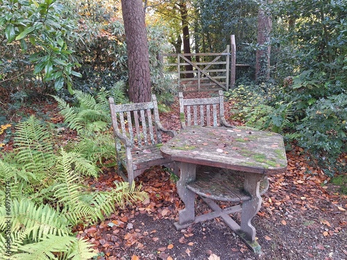 Pair of shabby chic chairs and table in a woodland garden setting
