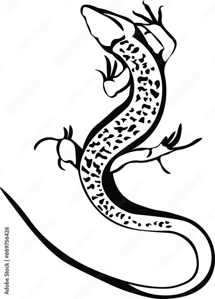 Obraz premium Cartoon Black and White Isolated Illustration Vector Of A Small Lizard
