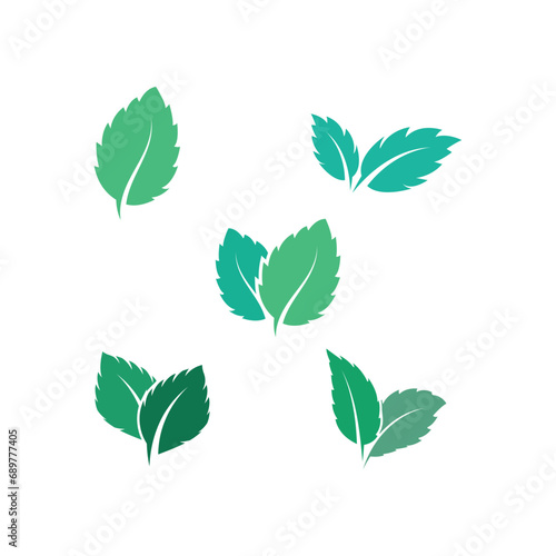 Mint leaves flat vector color icon template illustration design © evandri237@gmail