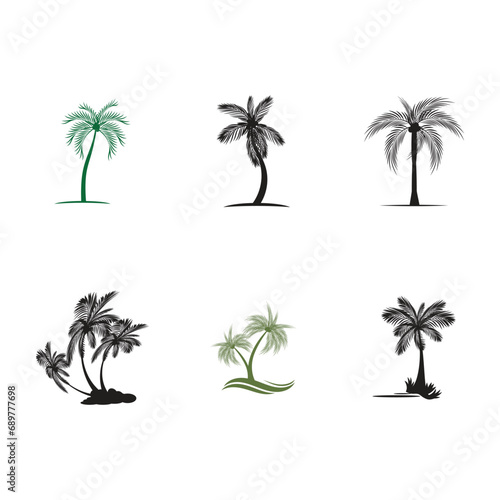 Palm tree logo vector template symbol design © evandri237@gmail