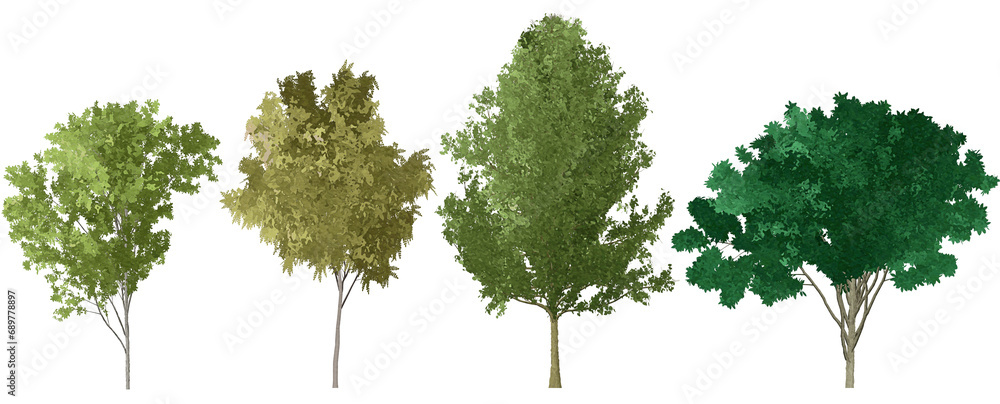 set of watercolor hand drawn paintings with asset illustrations of green tree isolated on white background. High resolution transparent PNG, random shape of oak tree 