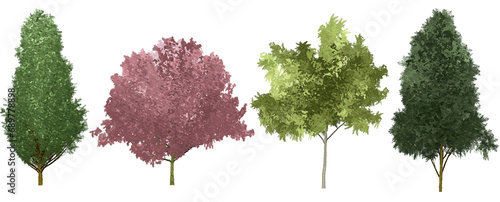 set of watercolor hand drawn paintings with asset illustrations of green tree isolated on white background. High resolution transparent PNG, random 4 species of tree, sakura tree