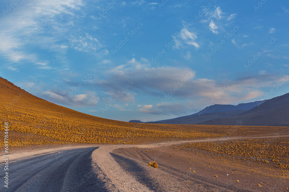 Road in Bolivia