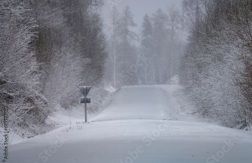 Winter Road and Forest at Morning