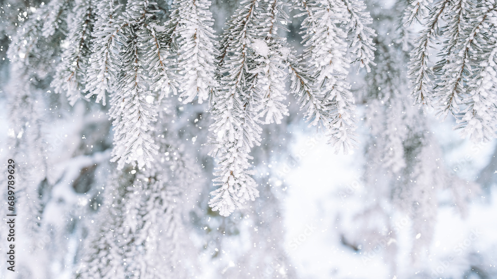 Icy snow-covered tree branches opposite falling snow. Icy snow-covered tree branches opposite falling snow.