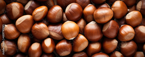Texture of chestnuts for design. Background of a large number of chestnuts. Top view. photo
