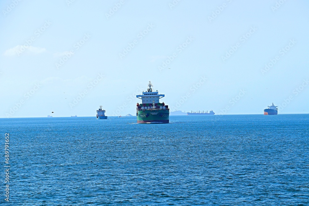  Sea container ship in the Bosphorus Strait