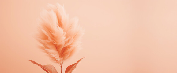 Crédence de cuisine Pantone 2024 Peach Fuzz Fleurs pêche tamisées et sereines  © Valeriia