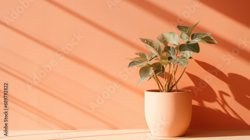 Soft-hued foliage in Peach Fuzz, bringing subtle warmth indoors