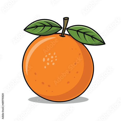 orange with leaves, orange fruit vector illustration, illustration for orange fruit, vector illustration, fruit vector illustration, fruit illustration