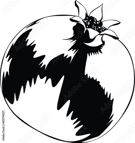 Cartoon Black and White Isolated Illustration Vector Of A Pomegranate Fruit