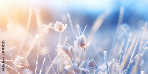 Beautiful gentle winter landscape  frozen grass on snowy natural background. Winter background with flowers covered snow crystals glittering in sunlight. Defocused winter landscape. 