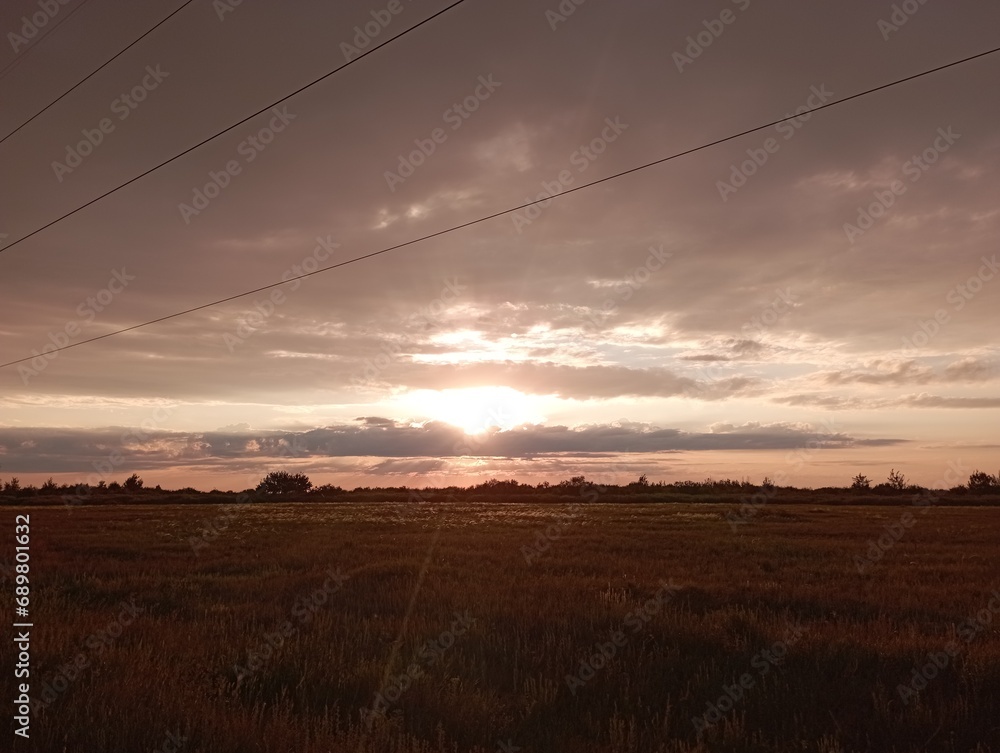 Sunset or sunrise in a spring field with green grass, willow trees and cloudy sky. Sunbeams making their way through the clouds.