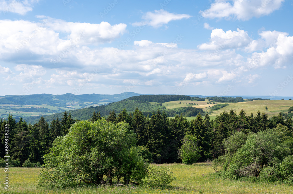 Landscape with trees in the high Rhoen Landscape with trees in the high Rhoen