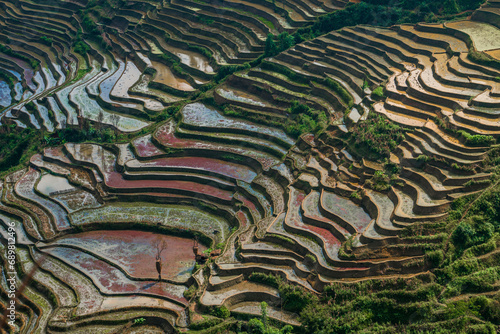 Aerial view of Honghe Hani Rice Terraces on the hills in Yunnan province, China. photo