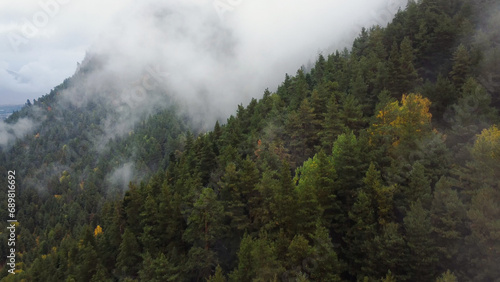 flying over the forest in the mountains with floating fog