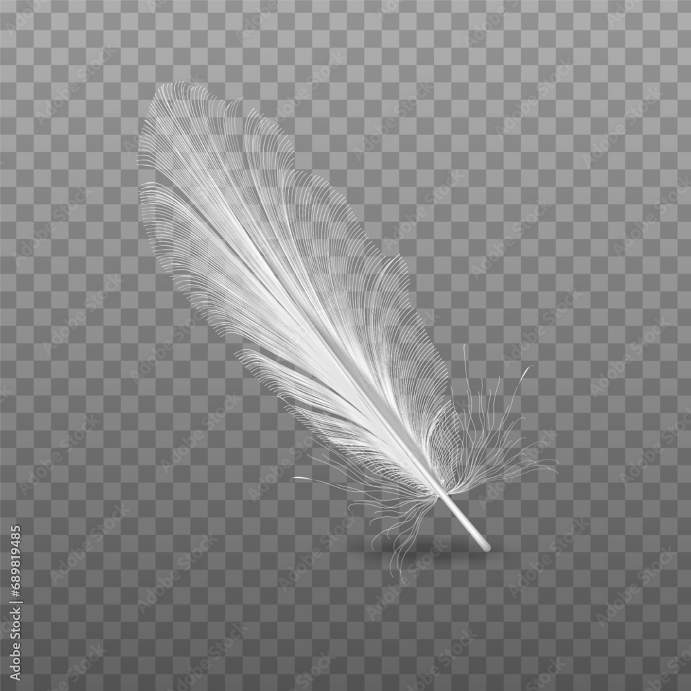 Vector 3d realistic falling feather closeup isolated on transparency ...