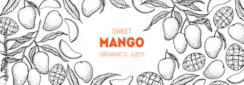 Ripe mango sketch. Hand drawn vector illustration. Tropical fruit. Packaging design, menu design, juice packaging. Mango frame.