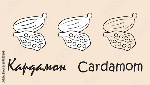 A set of cardamom  objects with the inscription 