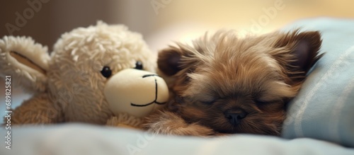 Cute dog sleeps in bed with...