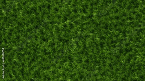 Wallpaper Mural green grass field texture top view background Torontodigital.ca