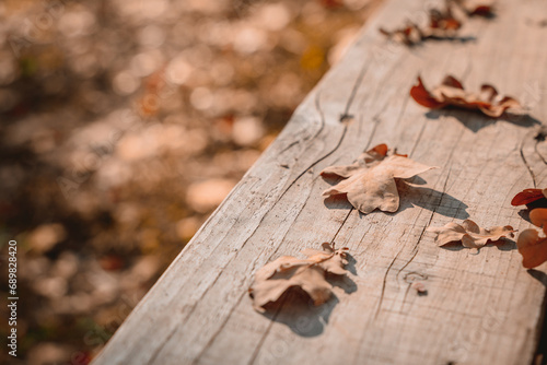 Autumn oak leaves on a wooden background with shadows, top view