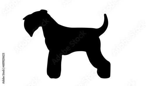 vector of silhouette schnauzer miniature 