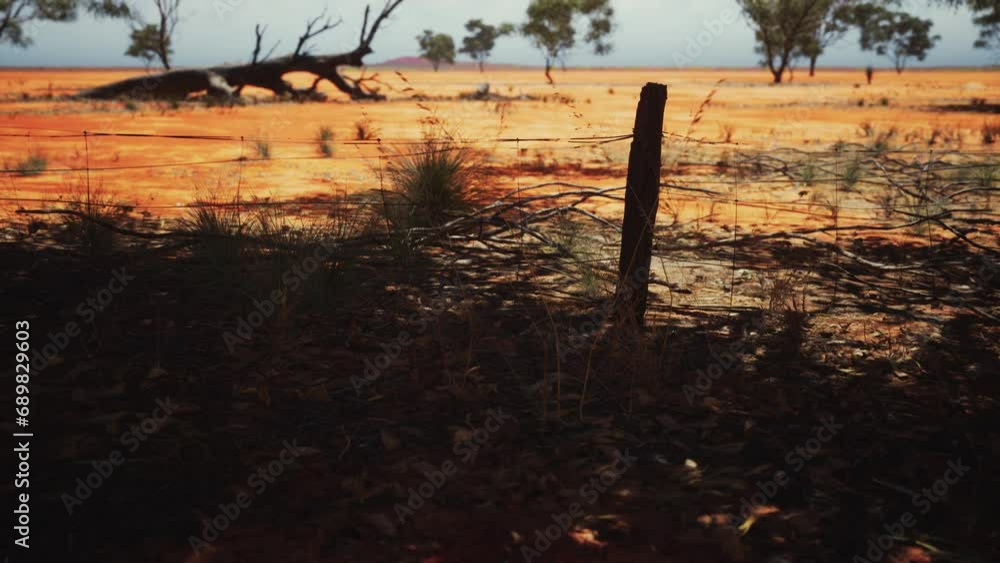 Pampas with barbed wire fence and dry bushes Pampas with barbed wire fence and dry bushes