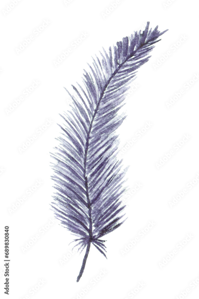 Obraz premium Isolated hand drawn watercolor soft grey blue colored feather quill for easter party design element cards, invitation.Boho style