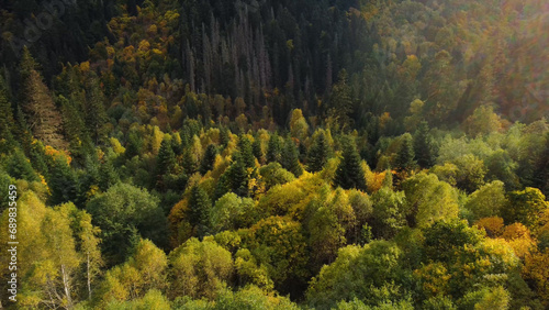The drone flies over the autumn forest in the fog © Павел Чигирь
