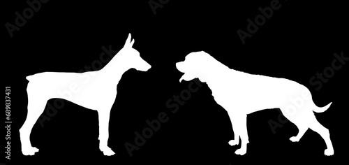 Doberman dog against rottweiler vector silhouette illustration isolated. German military guardian dogs breed for detecting smuggling drugs. Dog best friend. Alert guard attention. Man loyal assistant