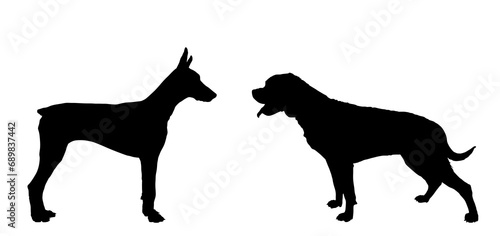 Doberman dog against rottweiler vector silhouette illustration isolated. German military guardian dogs breed for detecting smuggling drugs. Dog best friend. Alert guard attention. Man loyal assistant