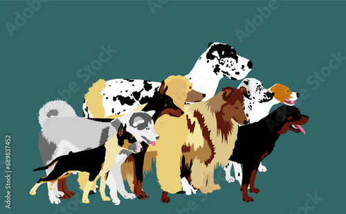 Many dogs in line waiting for veterinary clinic vector illustration. Pack, array of dog isolated. Dalmatian, Poodle, Rottweiler, Great Dane, Doberman, Rough Collie Scottish Shepherd, pit bull terrier
