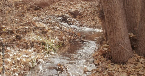 Running stream in the forest in autumn	
