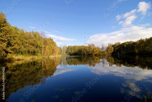 las nad jeziorem w jesieni 