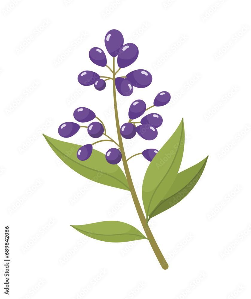 Obraz premium Branch with berries vector concept