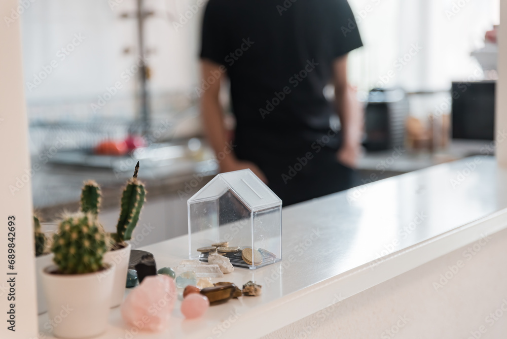Coins in house shaped money box and potted cacti placed on counter