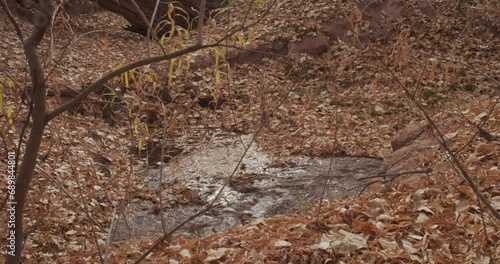 Running stream in the forest in autumn	