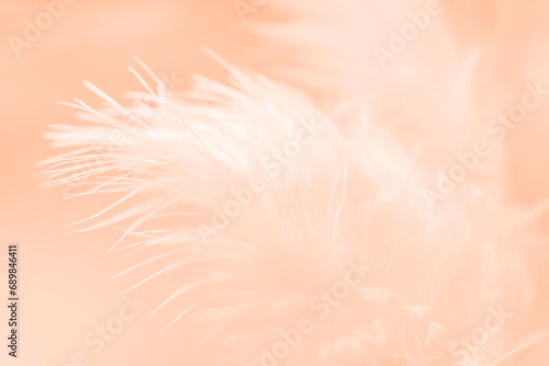 Soft and light white macro feather.