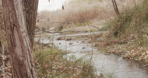 River in the woods in the fall	