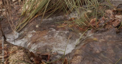 Running stream in the forest in autumn	