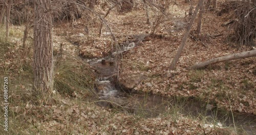 Running stream in the forest in autumn