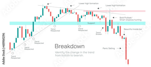 Stock market Investing and trading strategies infographics vector illustration. From beginner to expert level information.