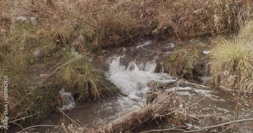 Running stream in the forest in autumn	
