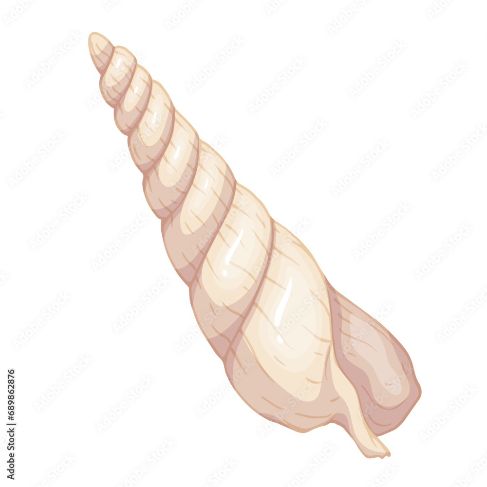 Seashell.Summer marine decor.Vector graphics. Seashell.Summer marine decor.Vector graphics.